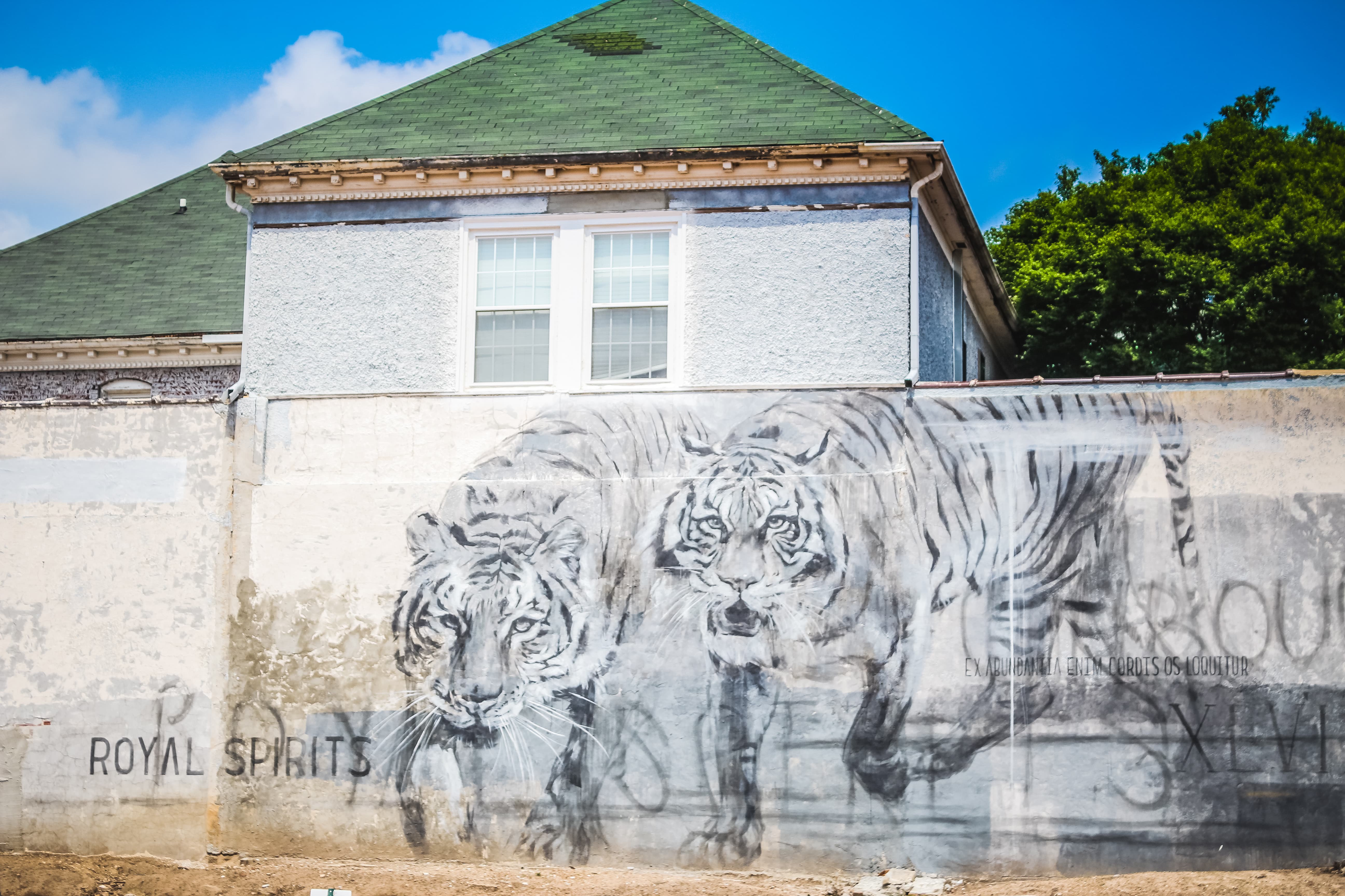 Fort Smith Unexpected Project Tigers